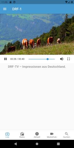 DRF TV screenshot 3
