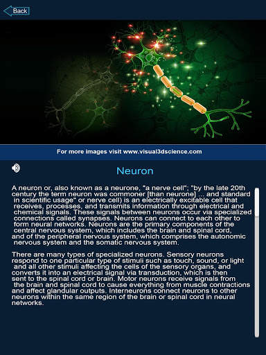 Organs Anatomy Pro. screenshot 13