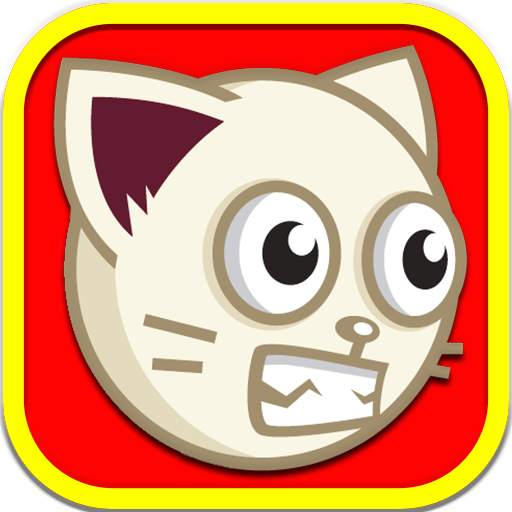 Angry Cat 2.0