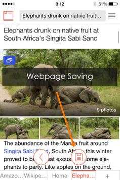 Tomato Browser screenshot 8