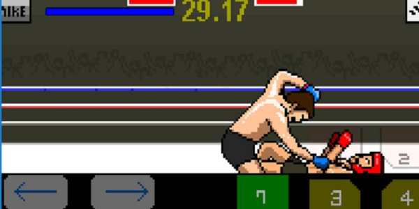 mma legend 2 screenshot 5