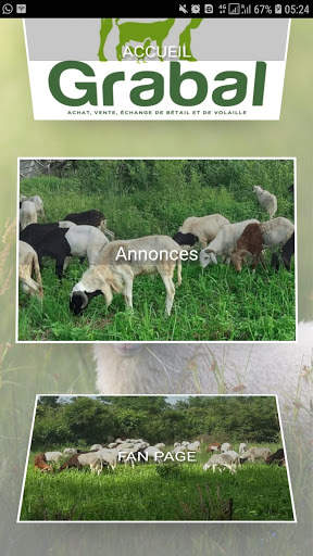 Grabal screenshot 2