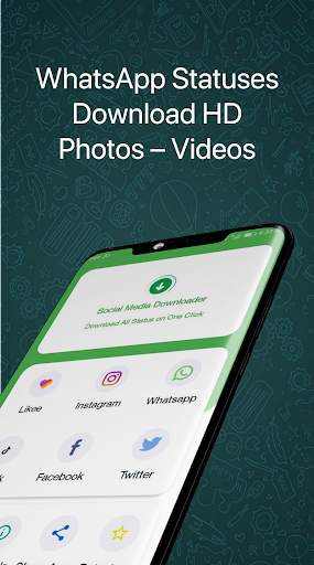 Social Media Downloader screenshot 2