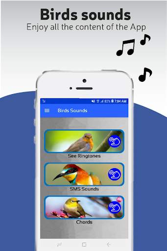 Birds sounds, ringtones birds screenshot 1