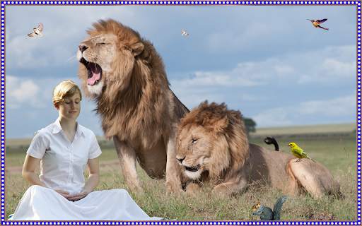Wild Animal Photo Editor - Photo Frames screenshot 3