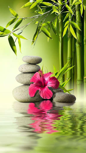Zen Garden Wallpapers screenshot 3