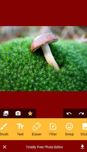 Totally Free Photo Editor screenshot 1