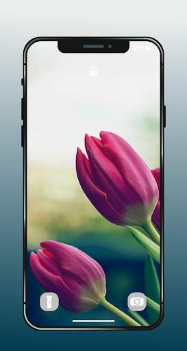 ✿ HD Flowers Wallpaper - 4K Beautiful Flowers screenshot 16