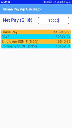 Ghana Payslip Calculator screenshot 5