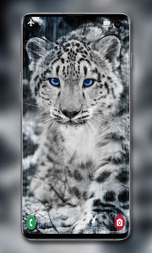 Snow Leopard Wallpaper screenshot 4