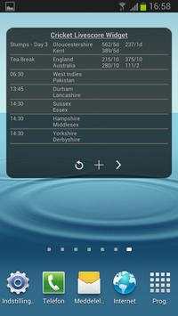 Cricket Livescore Widget screenshot 5