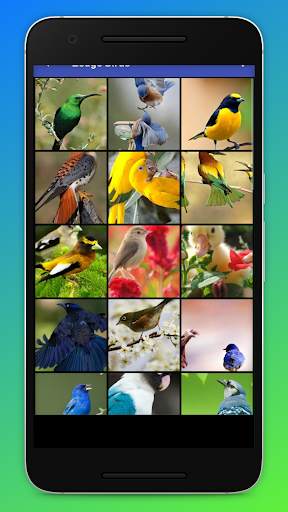 Zedge Birds HD Wallpapers screenshot 2