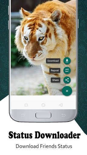 Whats web - Status Saver - wpp web screenshot 5