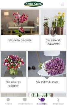 Mester Grønn Medlem screenshot 4