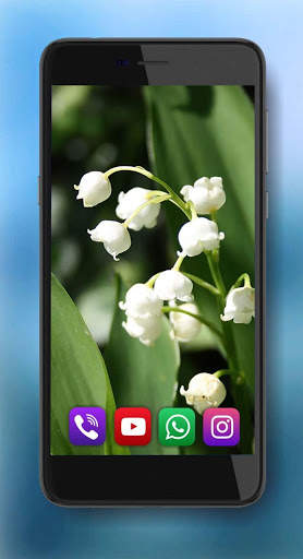 Spring Lilies live wallpaper screenshot 4