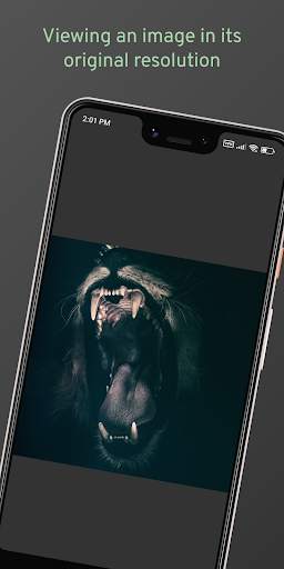 Pixabay Lite (quick wallpaper) screenshot 6