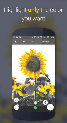 Paletta - Smart color splash स्क्रीनशॉट 2