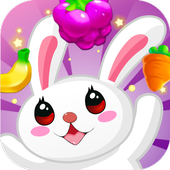 Fruit Bunny Splash icon