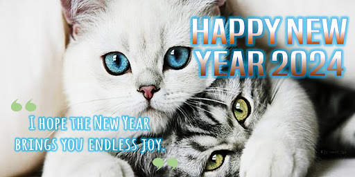 Happy new year 2024 screenshot 6