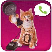 Cat Caller Speaker 1.1