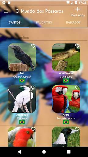 The World of Birds screenshot 7