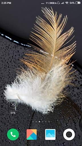 Best Feather Wallpaper screenshot 14