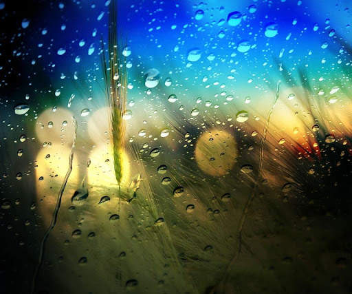 3D Rainfall Jigsaw Puzzles screenshot 3