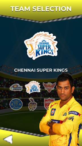 IPL Cricket Game - T20 Cricket screenshot 3