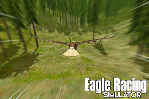 Eagle Racing Simulator: Animal Race Game screenshot 4