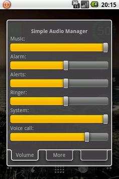 Simple Audio Manager screenshot 2