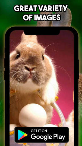 🐰 Rabbit Wallpaper 🐰 - Cute Rabbit Wallpaper 🐇 screenshot 3
