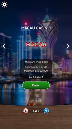Blackjack 21 - Casino Card Game screenshot 12