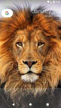 Lion Wallpapers screenshot 2