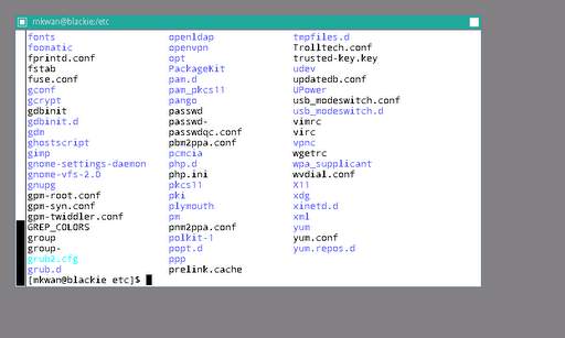 X Server screenshot 2