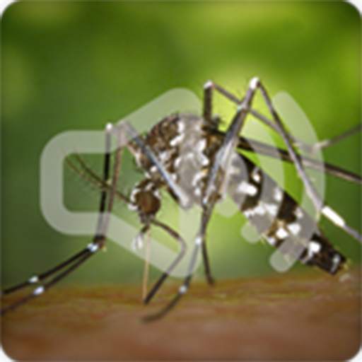 Mosquito Sounds Ringtone 8.0