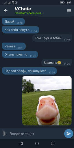 Анонимный текстовый чат, чат-рулетка на русском скриншот 3