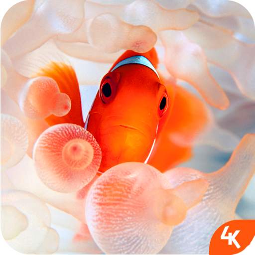 Fish Wallpaper (4k) 1.0