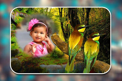 Birds Photo Frames screenshot 9