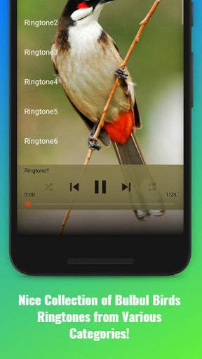 Bulbul Birds Sounds स्क्रीनशॉट 2