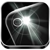 Torch Blacklight Flashlight 4.8