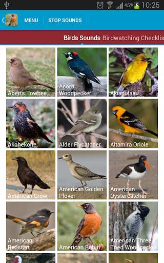 North American Birds Free screenshot 2