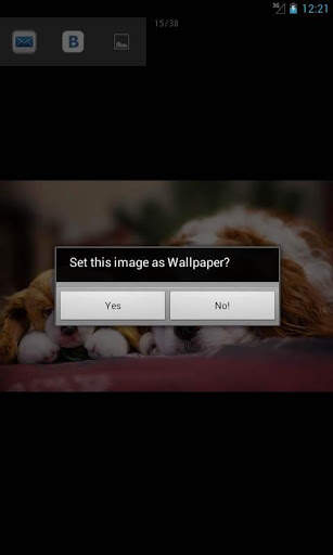 Wallpapers Animals Series 1 screenshot 5