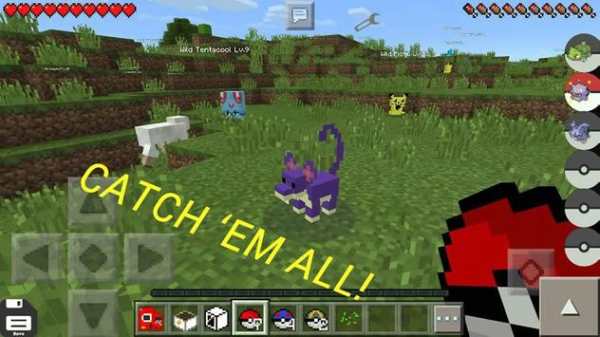 Perfect Pokémon Idea Minecraft screenshot 3