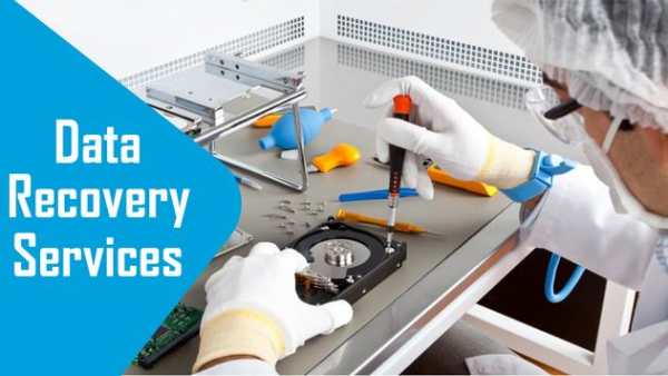 Data Recovery Services screenshot 1