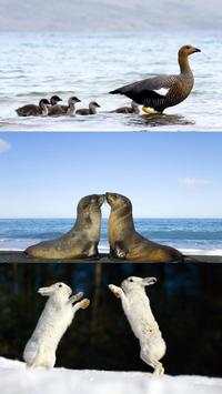 Funny animal mix screenshot 1