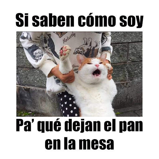 Imagenes chistosas screenshot 1