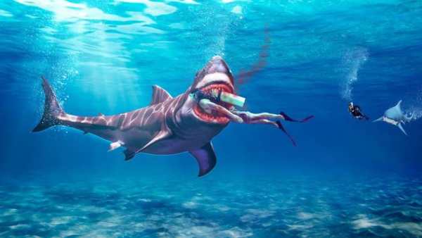 Shark 3D Hunting Games 2018 screenshot 1
