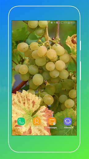 Grapes Wallpapers HD screenshot 14