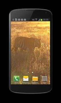 Tiger Free Video Wallpaper screenshot 2