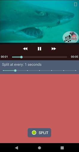 Video Splitter screenshot 3